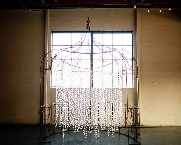 Teal BAM (pro pic heavy)