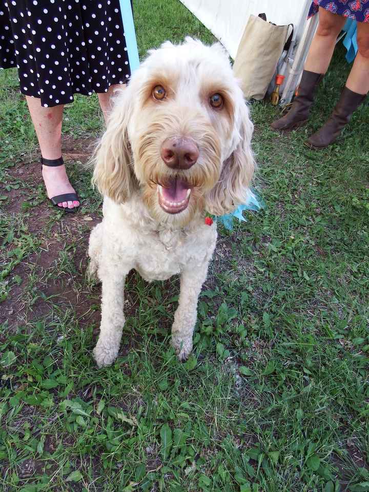 Cutest Thing You'll See All Day