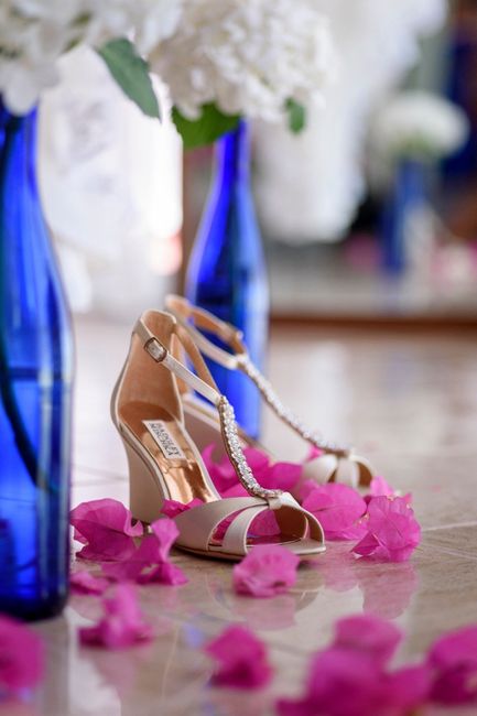 Badgley Mischka Wedges
