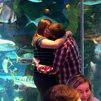 Surprise proposal or expected? - 1