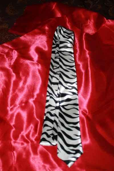 My zebra print GM and BM's ties with PICS