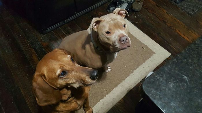 NWR: Show me your pups!