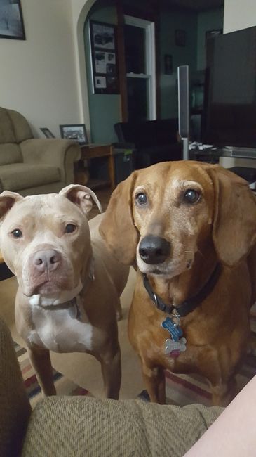 NWR: National Dog Day!