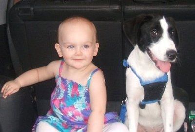 NWR: Show off your fur baby!