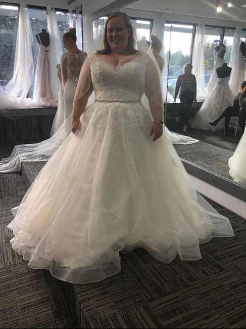 Dress Help! Please post your gowns!! - 1