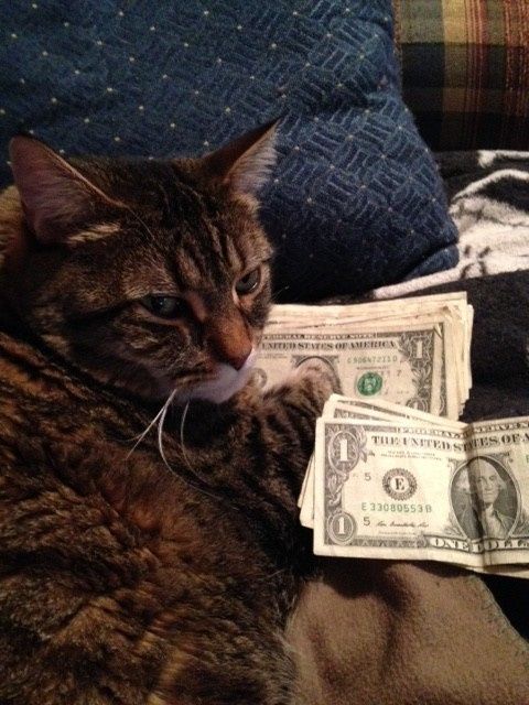NWR Show me your furbabies