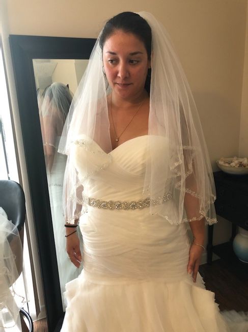 Which veil? Help me decide! 1