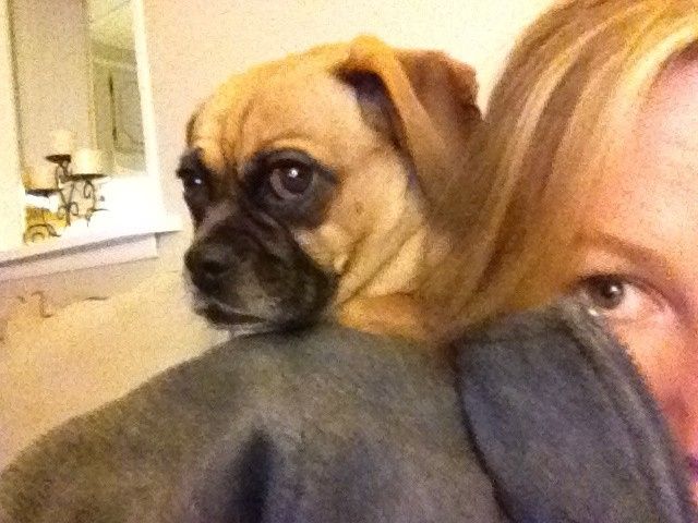 Venue spreadsheet needed!!!!