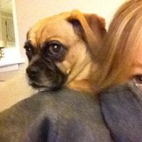 Venue spreadsheet needed!!!!