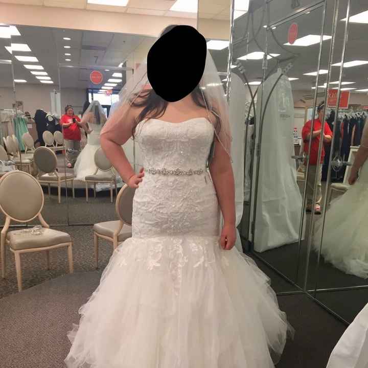 Affordable veil