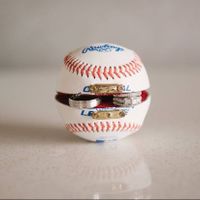 Ring bearer