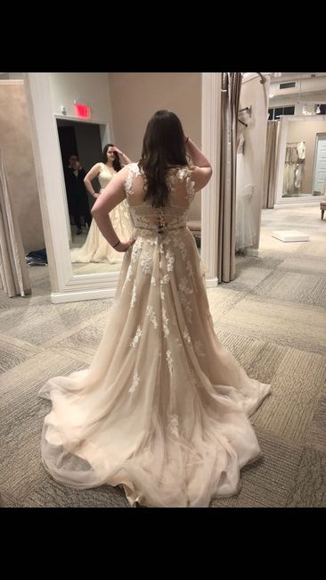  Hasty Dress Decision - 1