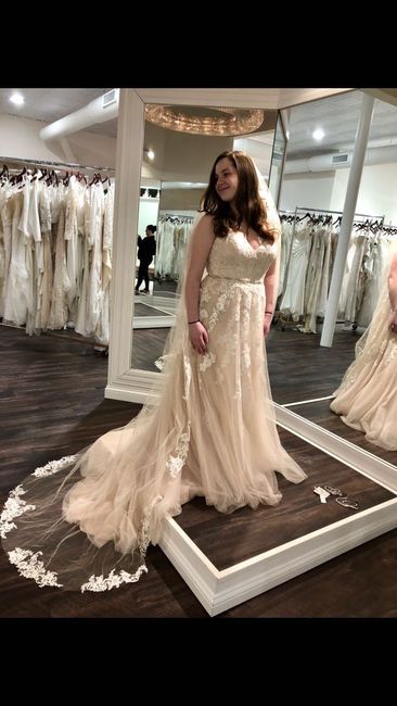  Hasty Dress Decision - 2