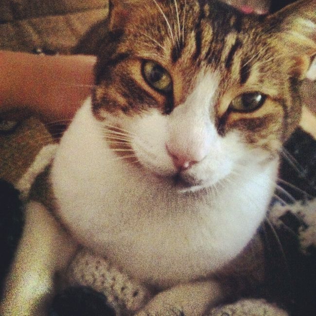 Furbaby Friday!