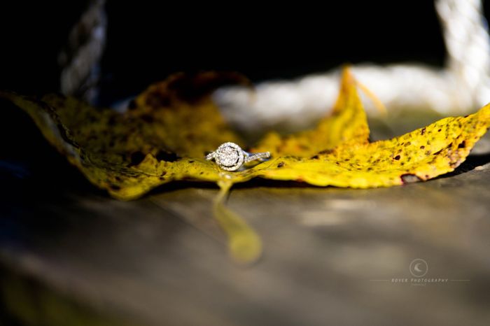 Ring show off 5