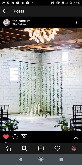 i need ideas on a backdrop 2