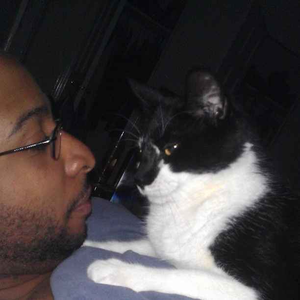 Since we are getting to know each other and everyone LOVES their fur babies!