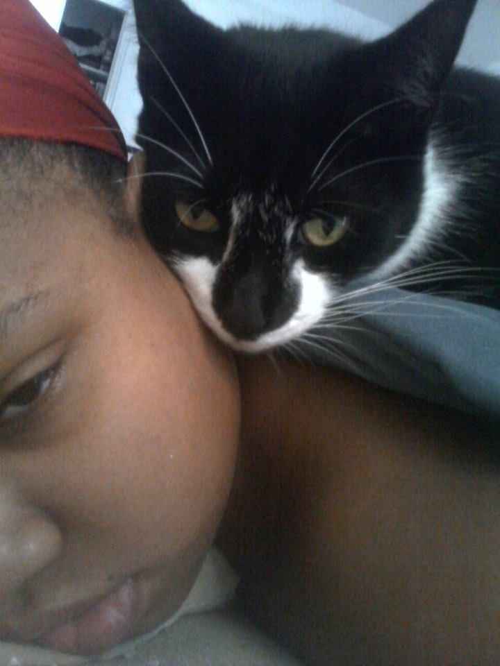 I mean... WHO DOESN'T LIKE CATS?!?!