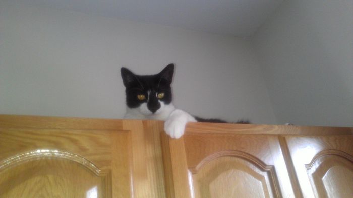 NWR: fur babies