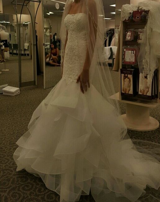 Davids Bridal Dresses!