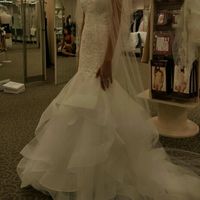 Davids Bridal Dresses!