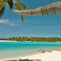 What are y'all doing?