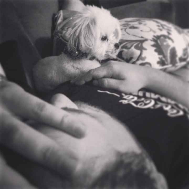 NWR Happy Fursday!!!