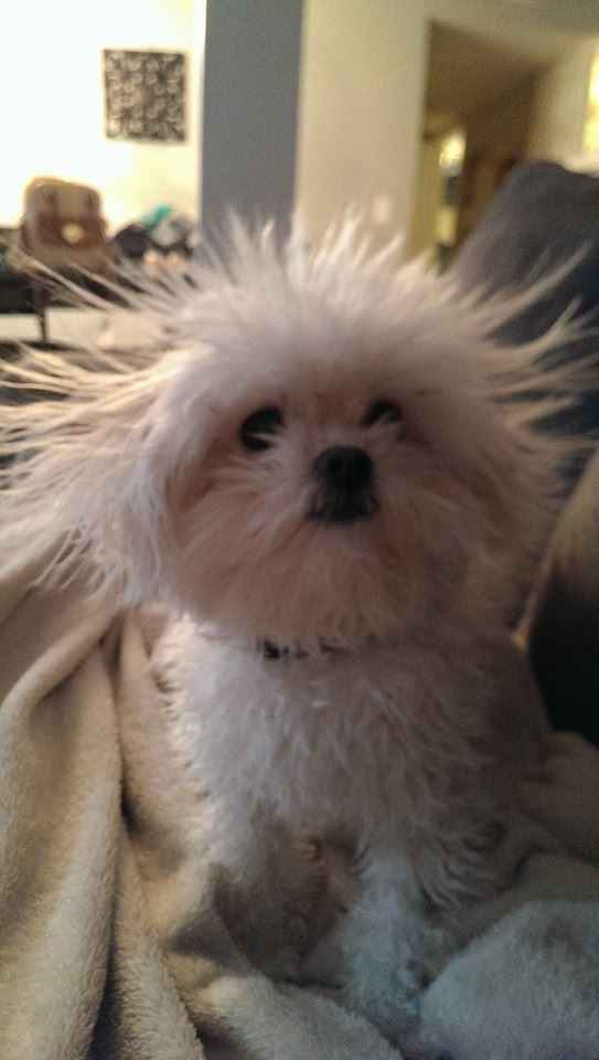 NWR: Lets talk pets.