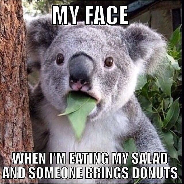 Screw you donuts