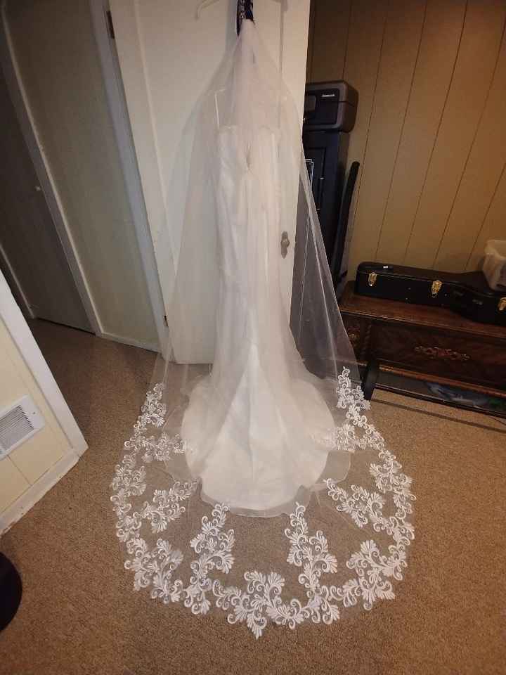 i need opinions on veil - 1