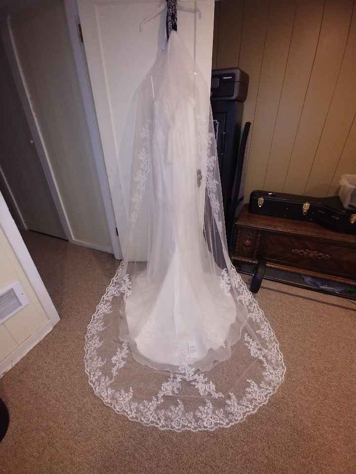 i need opinions on veil - 2