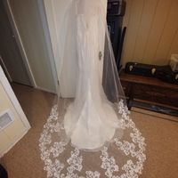 i need opinions on veil - 1