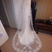 i need opinions on veil - 2