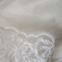 i need opinions on veil - 3