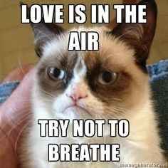 Happy Valentines to all my lovelies!