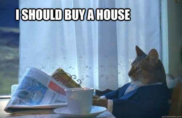 Sophisticated Cat would be proud! (on our way to owning our first home together!-- pics)