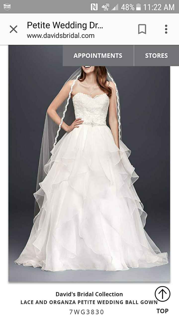 Did you add any sleeves/straps to your dress? - 2