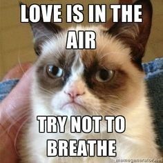 Happy Valentines to all my lovelies!