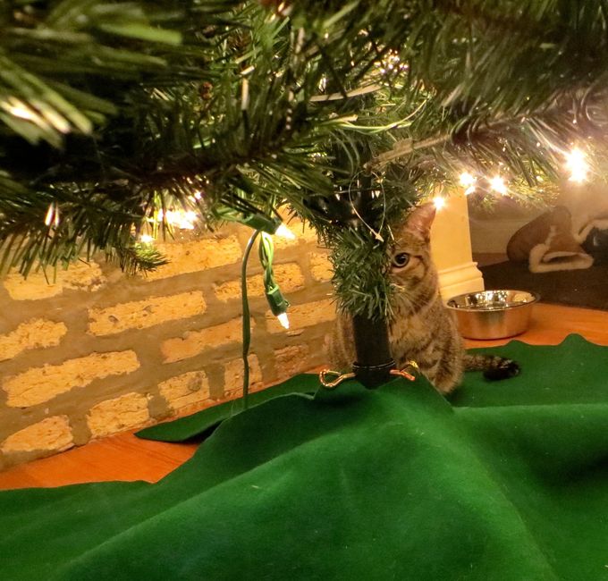 NWR: Merry F*cking Christmas!!! :)