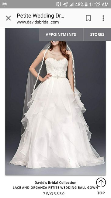 Did you add any sleeves/straps to your dress? 2