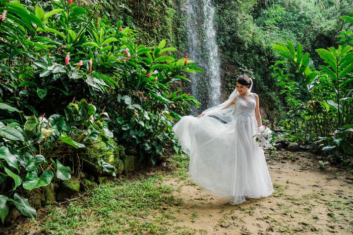 Dresses from David’s Bridal 8