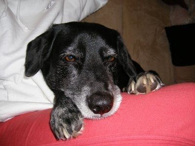 need help settling a looooong argument (NWR)