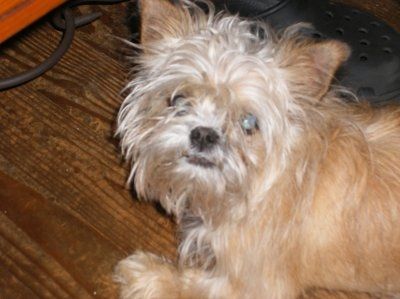 need help settling a looooong argument (NWR)