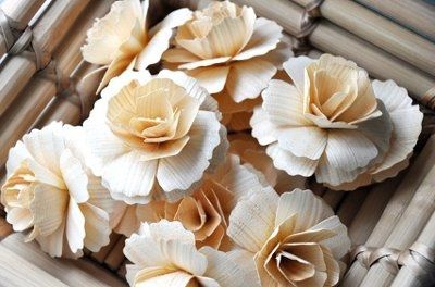 Who wanted to use wooden flowers cuz I found some open blooms! Pic!