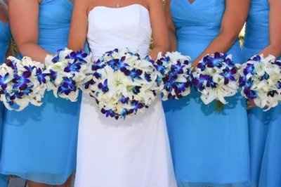 New and confused on colors...