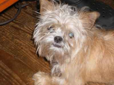 need help settling a looooong argument (NWR)