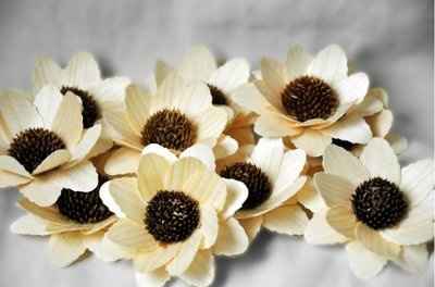 Who wanted to use wooden flowers cuz I found some open blooms! Pic!