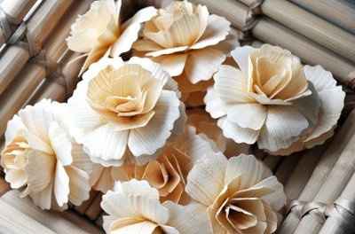 Who wanted to use wooden flowers cuz I found some open blooms! Pic!