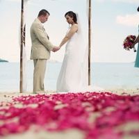 ALUMNI Brides of Wedding Wire....