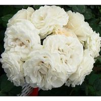 Non-matching Bride's Bouquet?